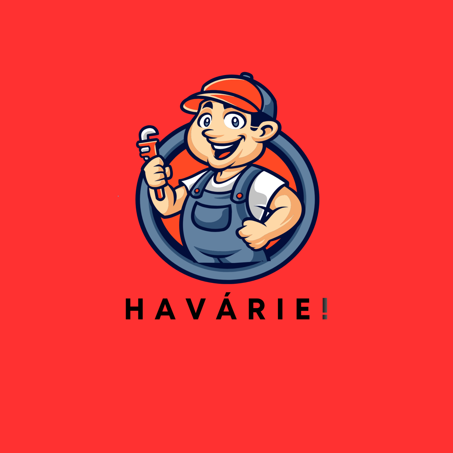 obrázek příspěvku